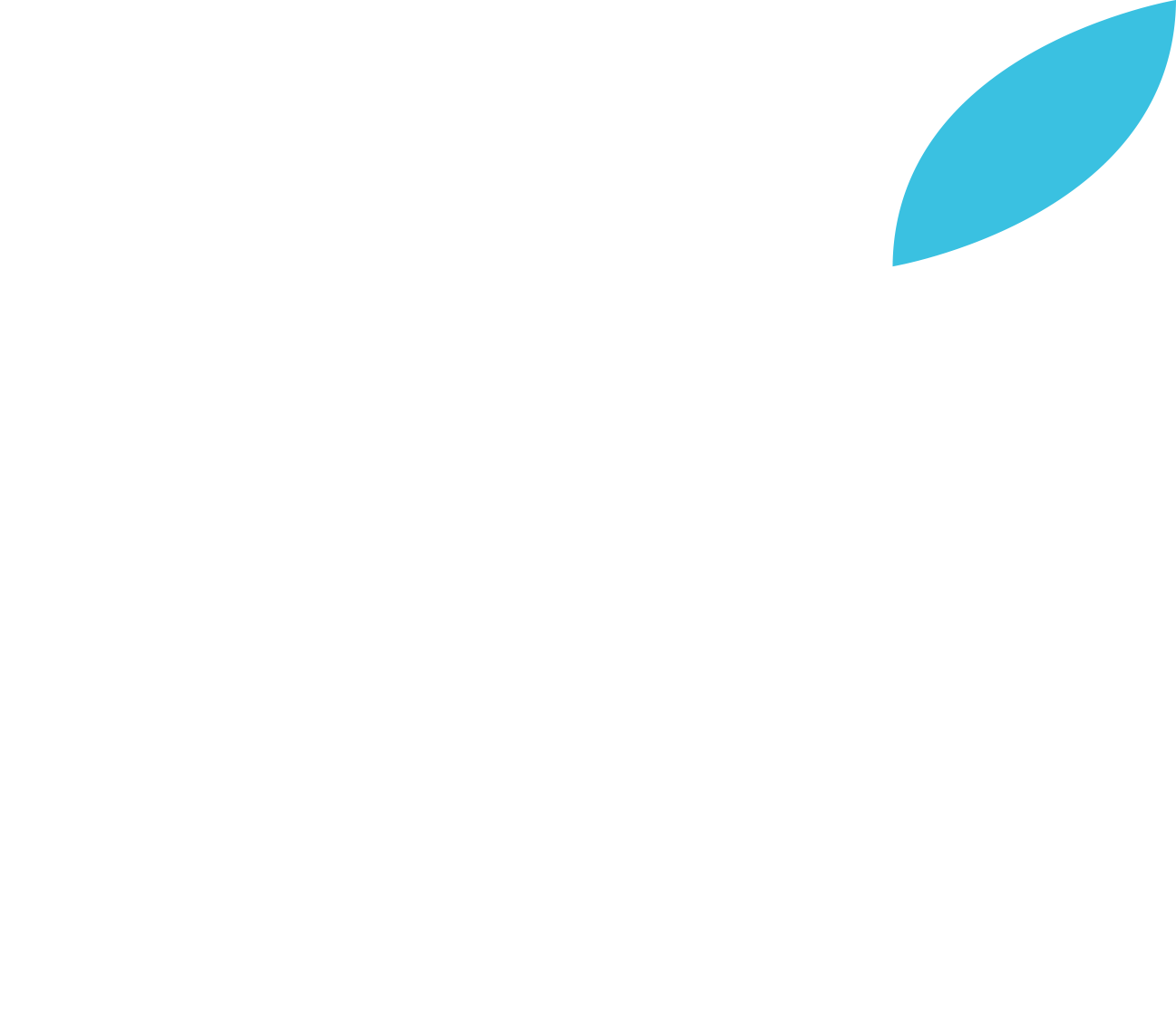 EV Academy